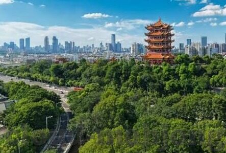捷报比分即时足球网-捷报比分即时足球网，球迷的实时信息港湾与赛事分析利器