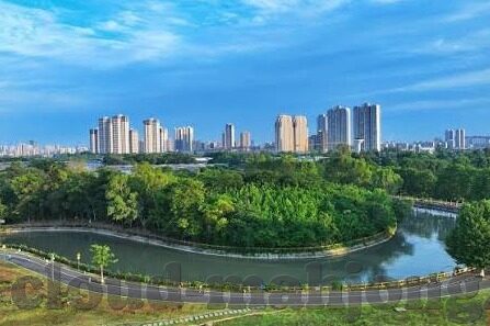 九游娱乐平台下载-九游娱乐平台，解锁数字娱乐新体验